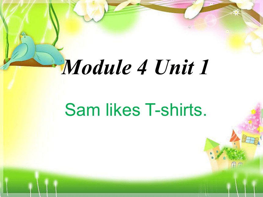 Unit 1 Sam likes T-shirts 课件