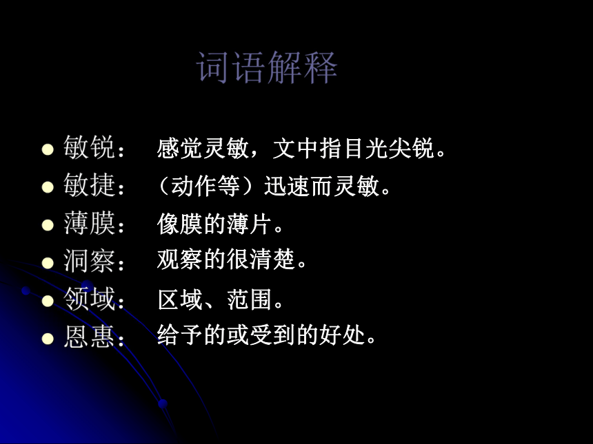 《夜晚的实验》课件