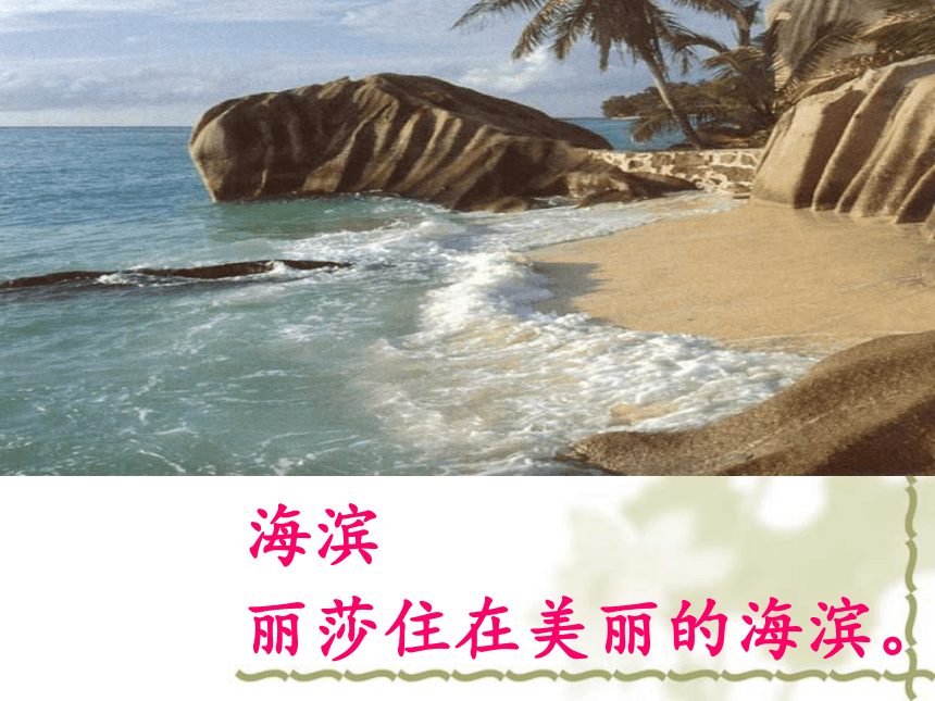 语文二年级下北京版3.12《幸运的小海豹》课件