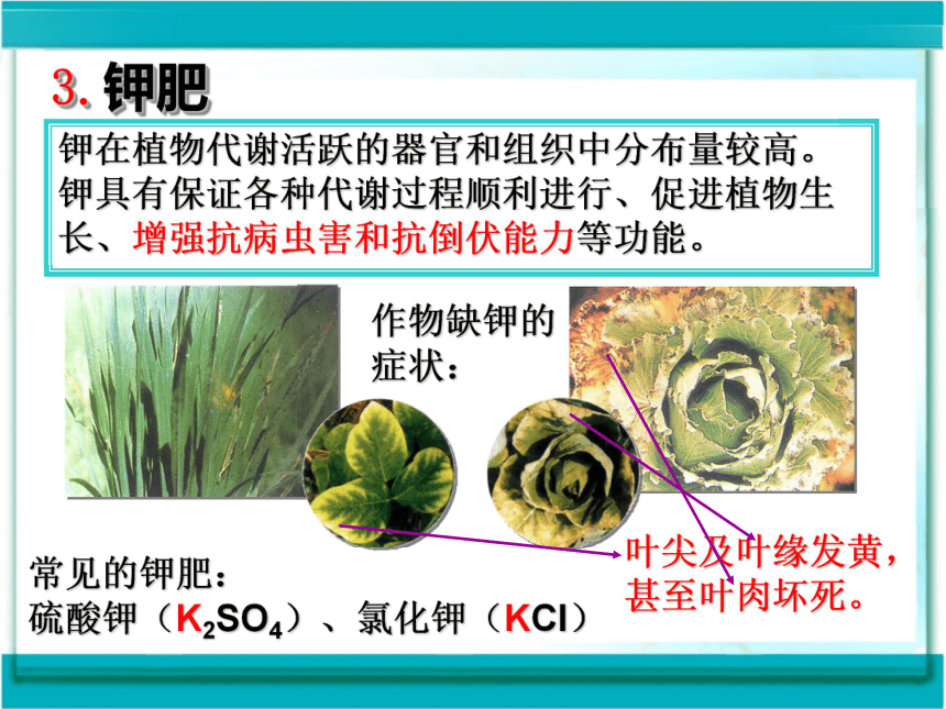 10.3化学肥料 课件 (5)