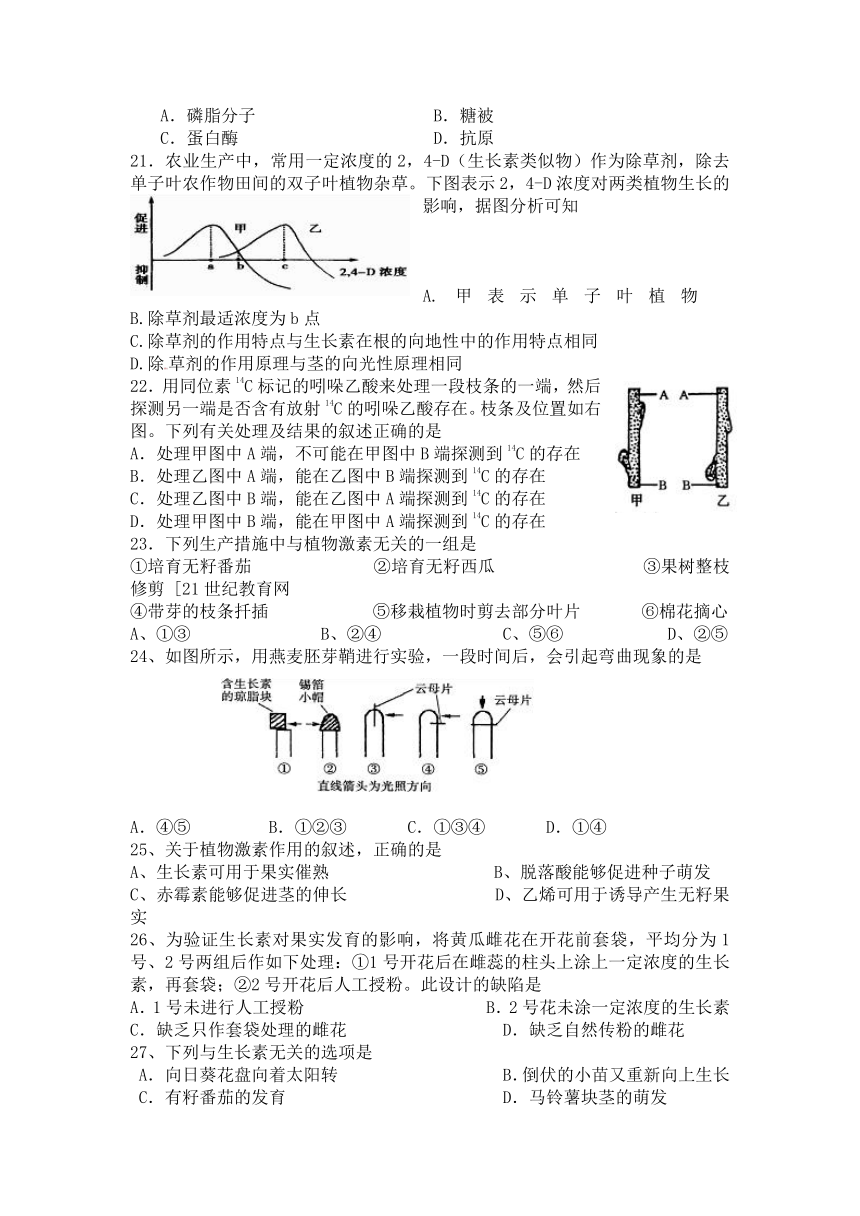 山东省胶州一中2013届高三1月份月考试题 生物