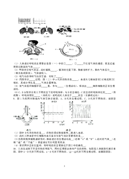 2019年湖南省湘潭市锰矿中学中考专题复习：呼吸系统 测试题（含答案）