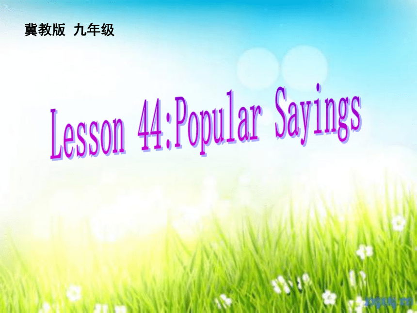 Unit 8 Culture Shapes Us Lesson 44 Popular Sayings课件