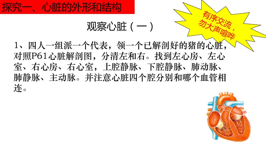 人教版七年级生物下册第四单元第四章第三节输送血液的泵--心脏课件（33张ppt）