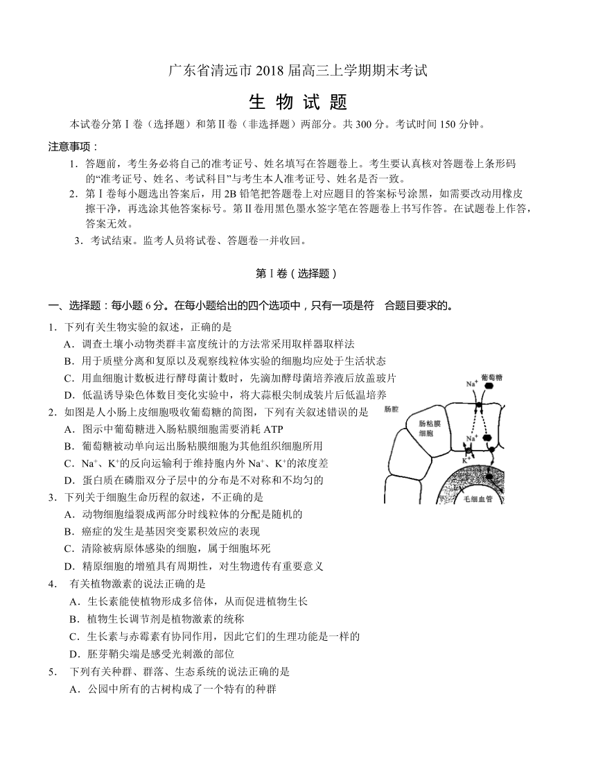 广东省清远市2018届高三上学期期末考试 生物试题