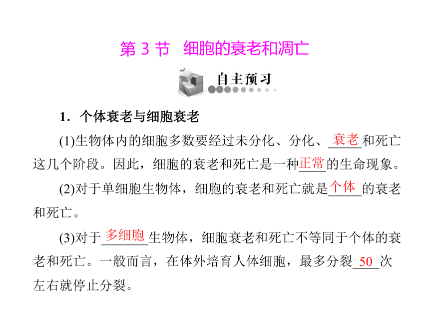 2017-2018学年 人教版必修1第六章第3节 细胞的衰老和凋亡 课件（15张）