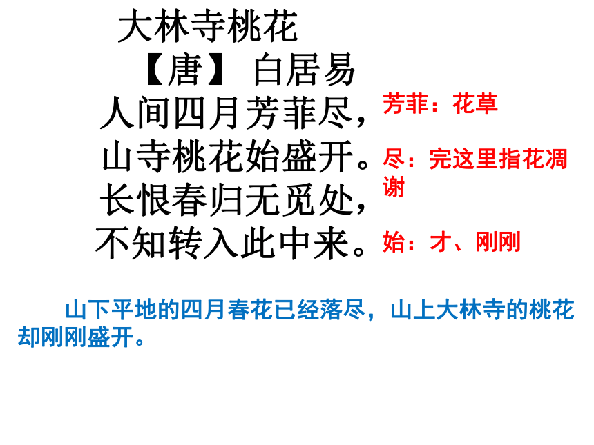 苏教版小学语文六年级上册第七单元复习课件