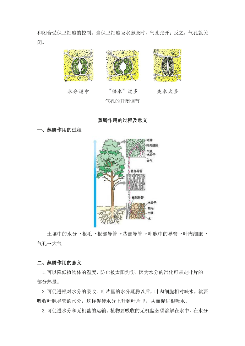 生物七年级上册考点汇总 4.1植物的蒸腾作用-京改版