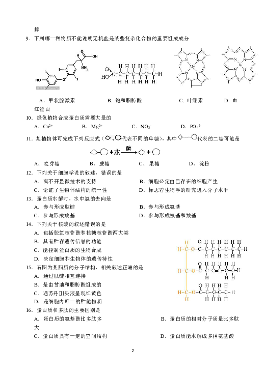 浙江省丽水四校2019-2020学年高一10月份（联考）阶段检测生物试题