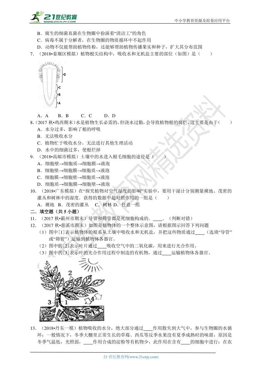 4.2 水在植物体中的代谢 同步练习