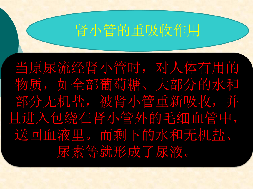 人教七下生物第四单元第五章人体内废物的排出PPT课件(共27张PPT)