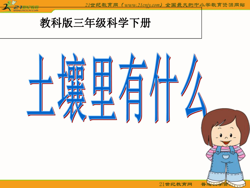 三年级科学上册课件 土壤里有什么（教科版）