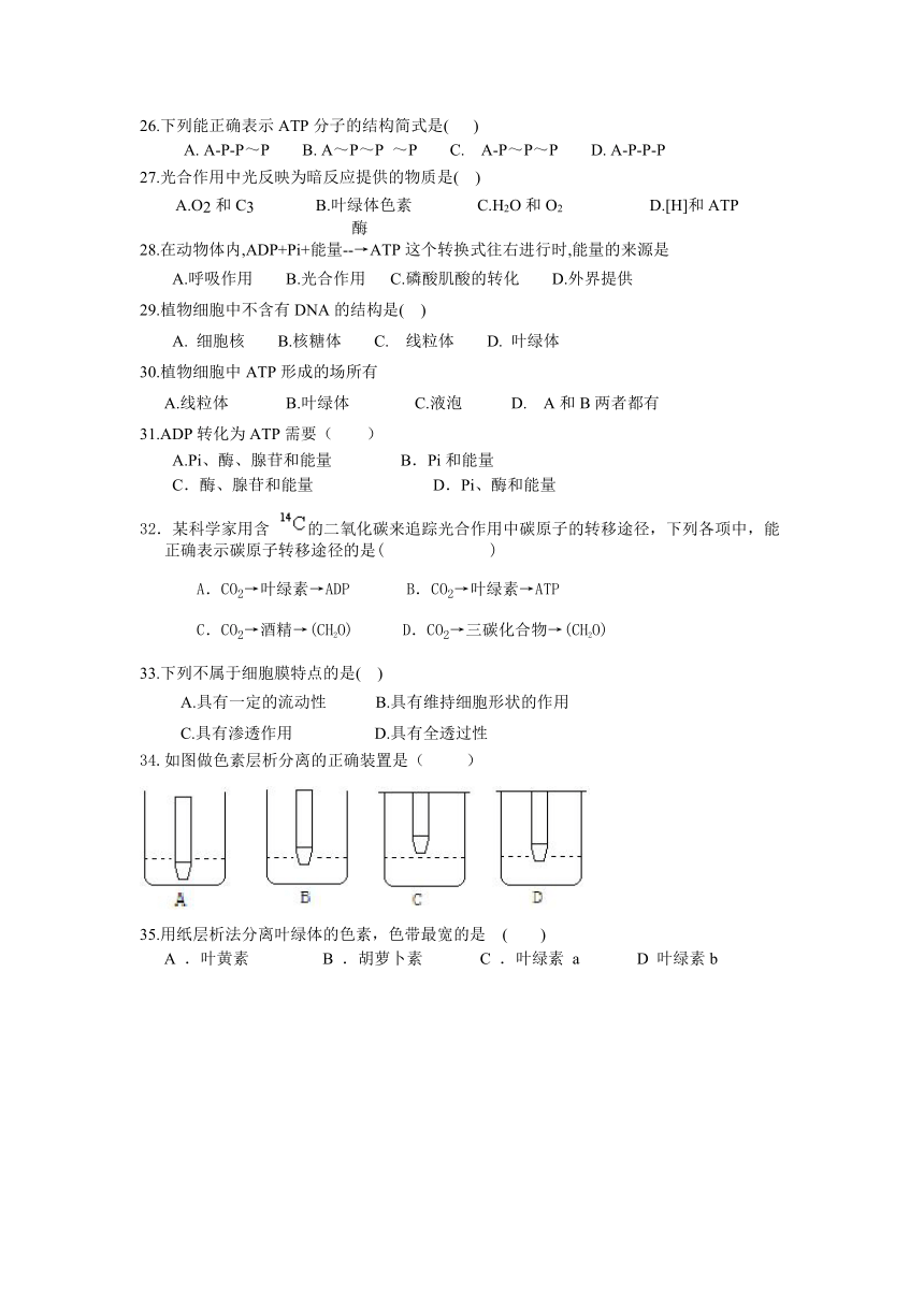 灌云县陡沟中学2015—2016年度高一年级第二次月考试卷