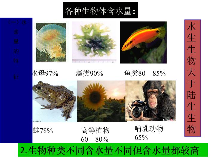 人教版生物必修一2.5细胞中的无机物（共39张ppt）