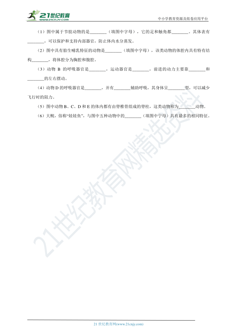 苏科版2021初中生物七下5.12.1鸟类 同步练习（含解析）