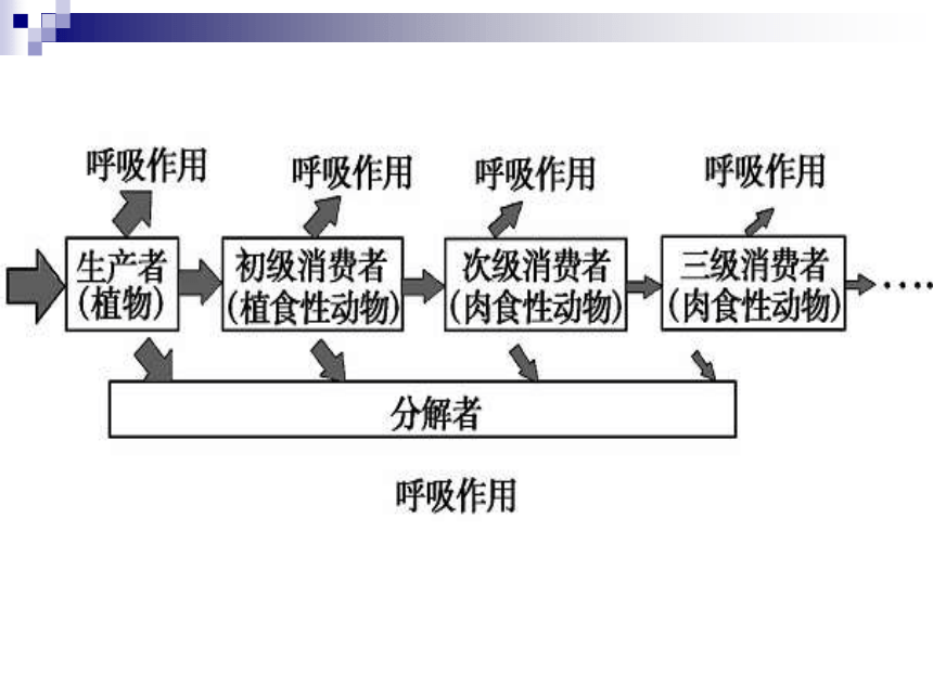 第36課時 生態系統的能量流動和物質循環(共27張ppt)