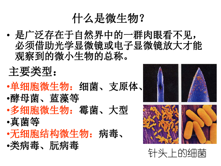 冀教版八上生物 5.4微生物在生物圈中的作用 课件  (60张PPT)