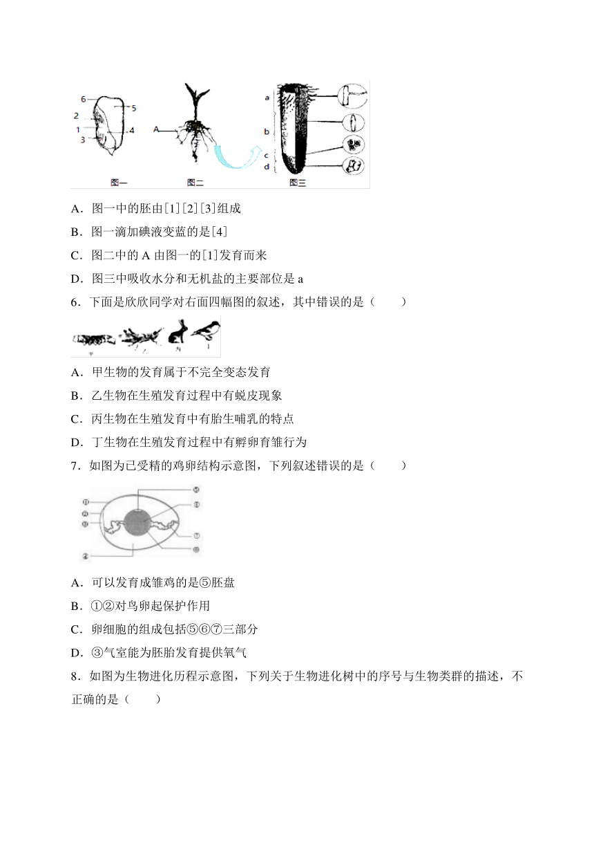 山东省济南市槐荫区2017-2018学年八年级上学期期末考试生物试卷（有答案）