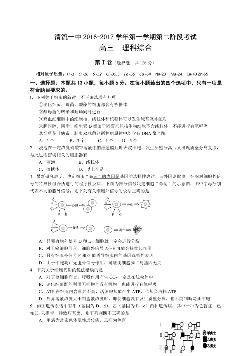 福建省三明市清流一中2017届高三上学期第二阶段（期中）考试理综试卷