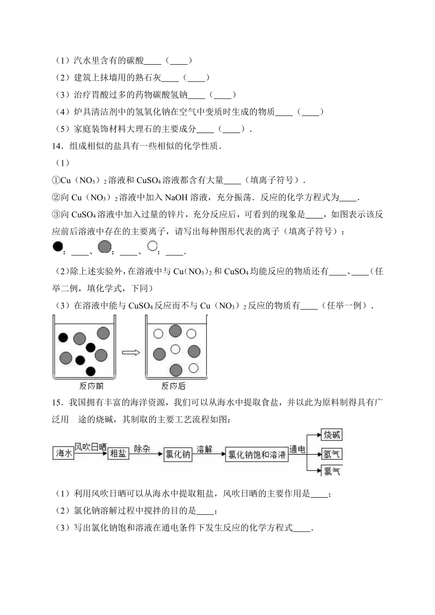 第11单元 盐 化肥 单元测试（含答案）