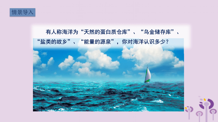 （新版）湘教版八年级地理上册第三章第四节中国的海洋资源课件(25张PPT)