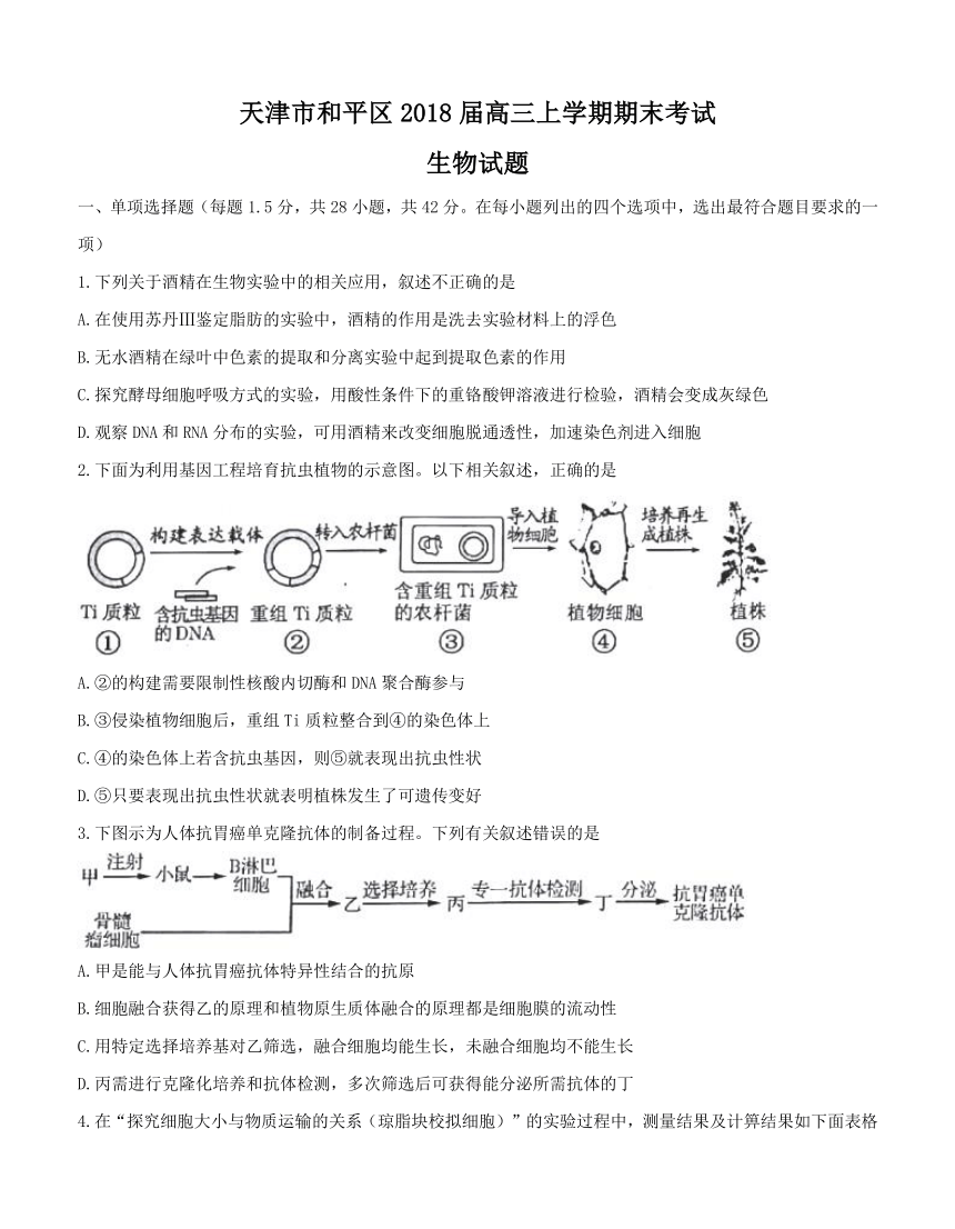 天津市和平区2018届高三上学期期末考试 生物