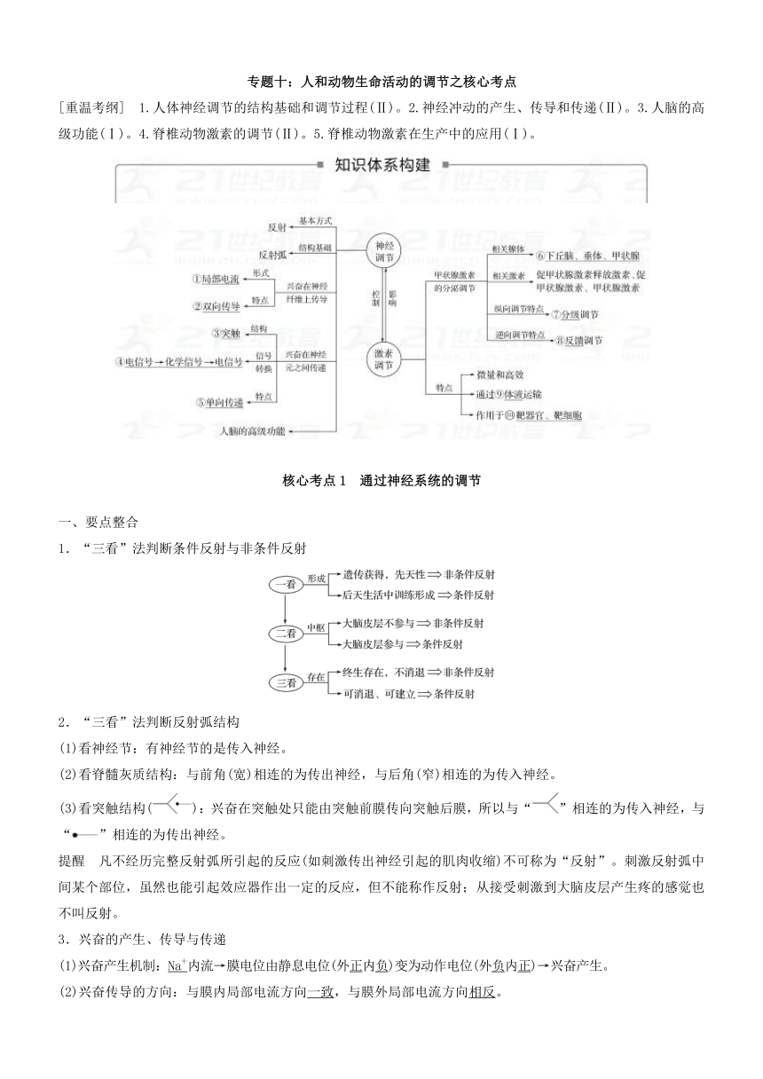 2018届高考生物二轮专题复习之核心考点专题10人和动物生命活动的调节之核心考点