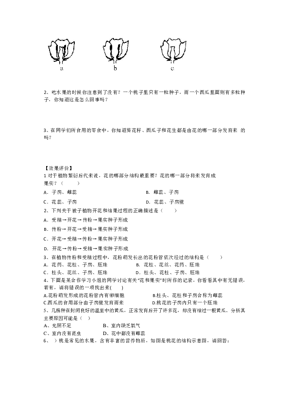 3.2.3 开花和结果 导学案（无答案）