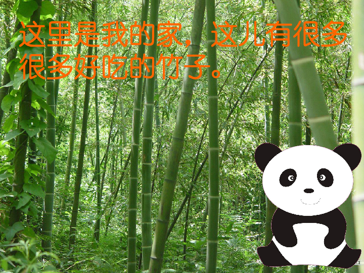 河大版信息技术六下第2课《大熊猫美丽的家—设置背景和效果》课件（20张幻灯片）