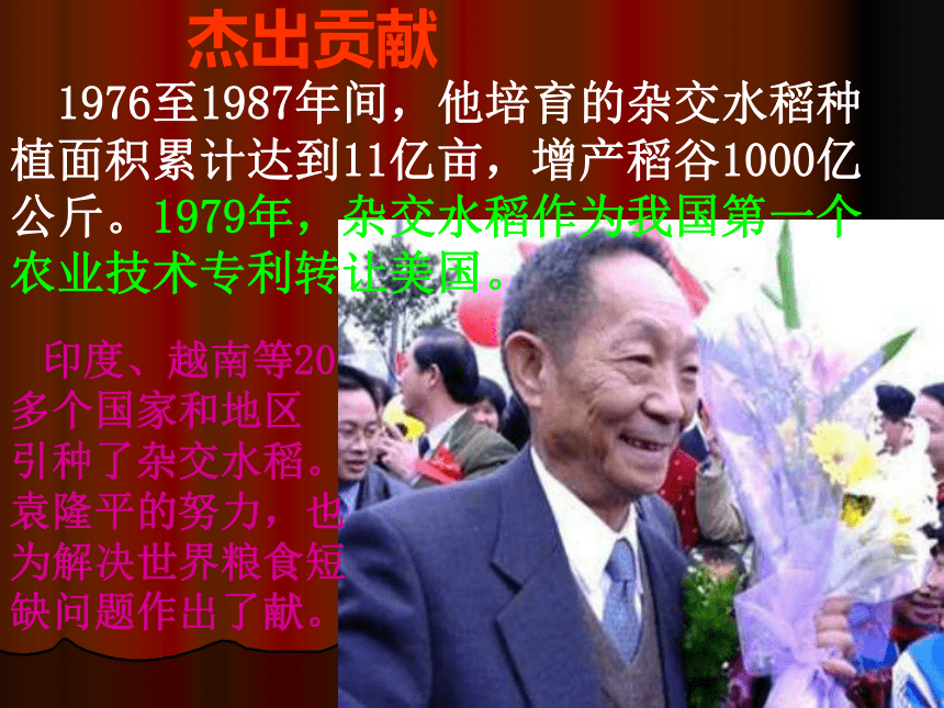 《世界杂交水稻之父》课件