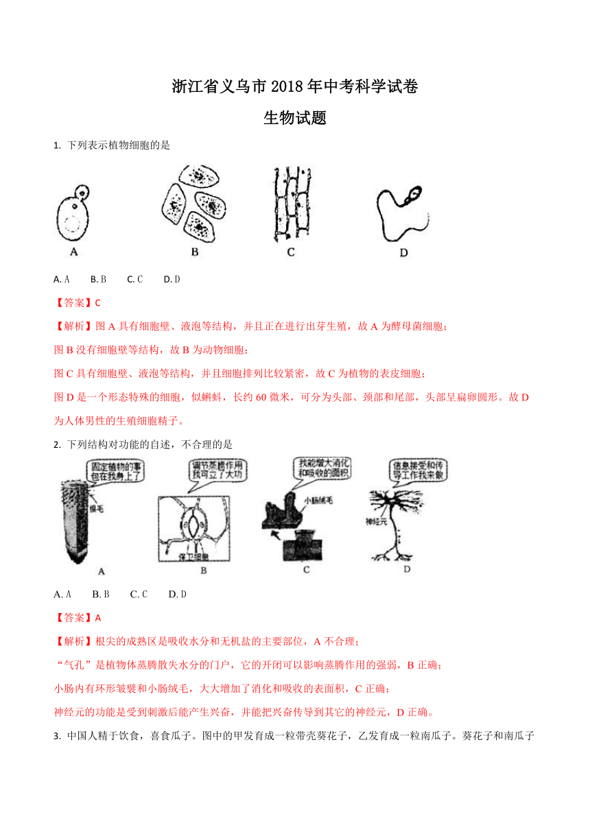 浙江省义乌市2018年中考科学试卷（生物部分）试题（解析版）