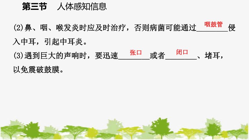 蘇教版七年級生物下冊第十二章第三節第2課時耳和聽覺課件共19張ppt