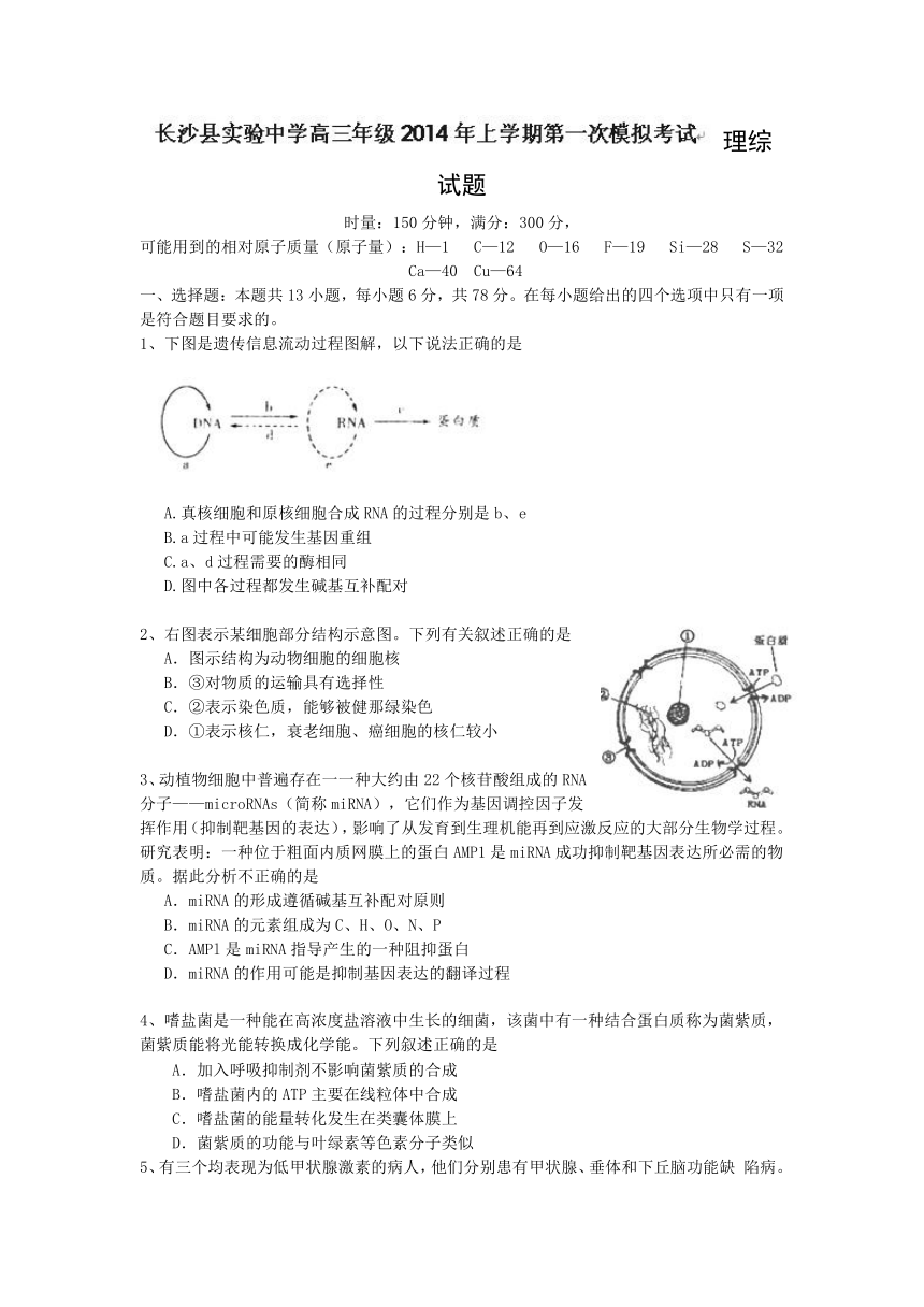 湖南省长沙县实验中学2014届高三下学期第一次模拟理科综合试题