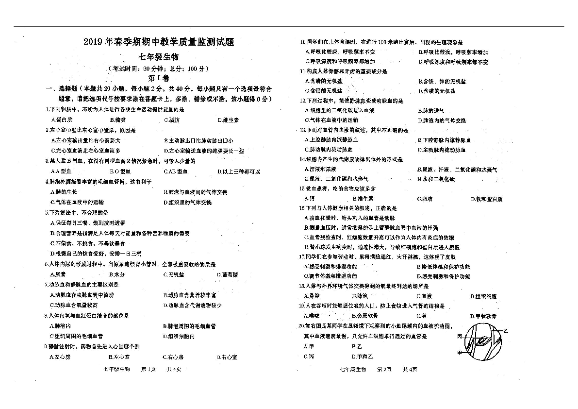 广西贵港市覃塘区2018-2019学年七年级下学期期中考试生物试题（扫描版含答案）