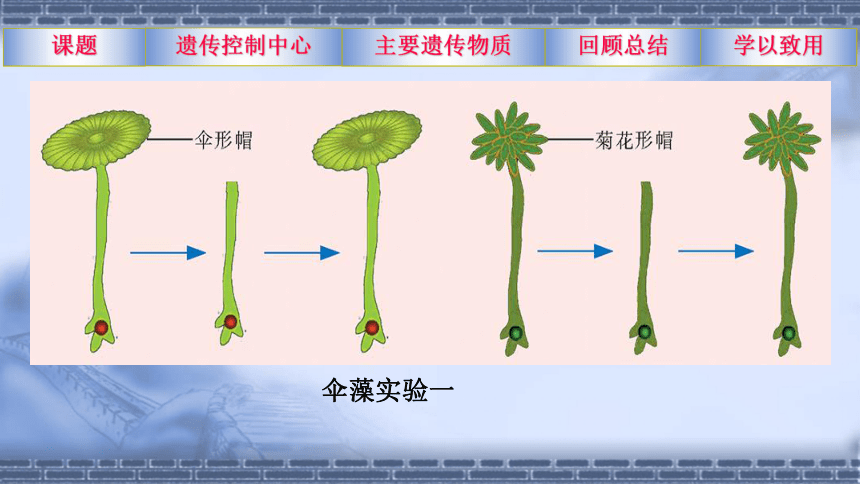 8.22.1 DNA是主要的遗传物质 课件