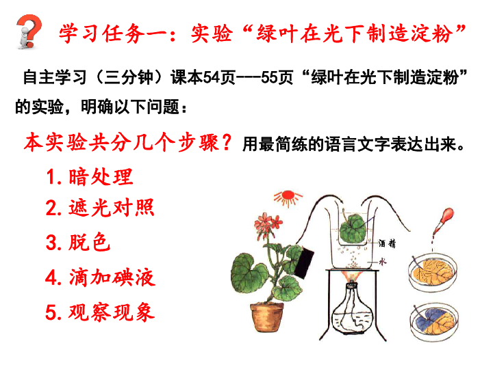 济南版 七年级上册 第三节 绿色植物的光合作用课件（ 共20张PPT）