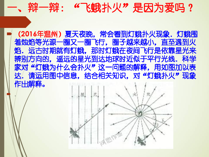 说理题的基本范式及解答建议（课件 29张ppt）