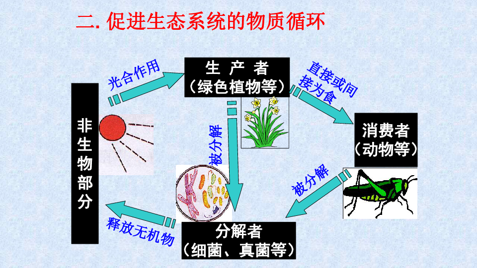 人教版生物八年级上册第五单元生物圈中的其他生物第三章动物在生物圈