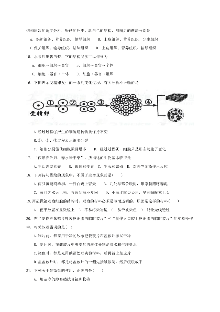 湖北省安陆市2017_2018学年七年级生物上学期期中质量调研试题新人教版