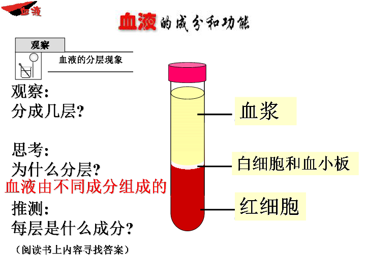 北京版七下生物 5．2．1 血液 课件 （共39张PPT）