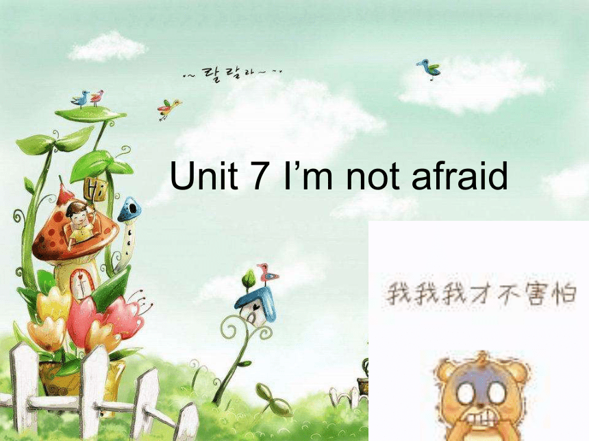 Unit7 I’m not afraid 课件