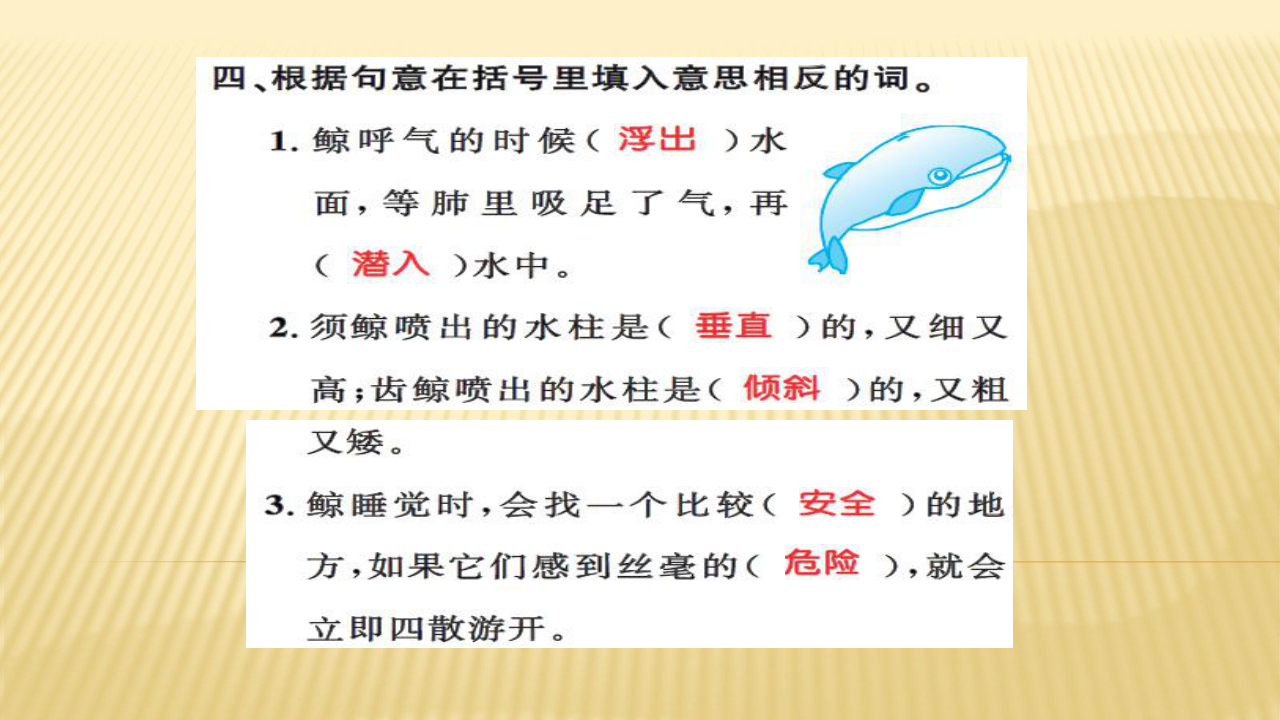 人教版（新课程标准） 五年级上册习题课件9 鲸（15张PPT）