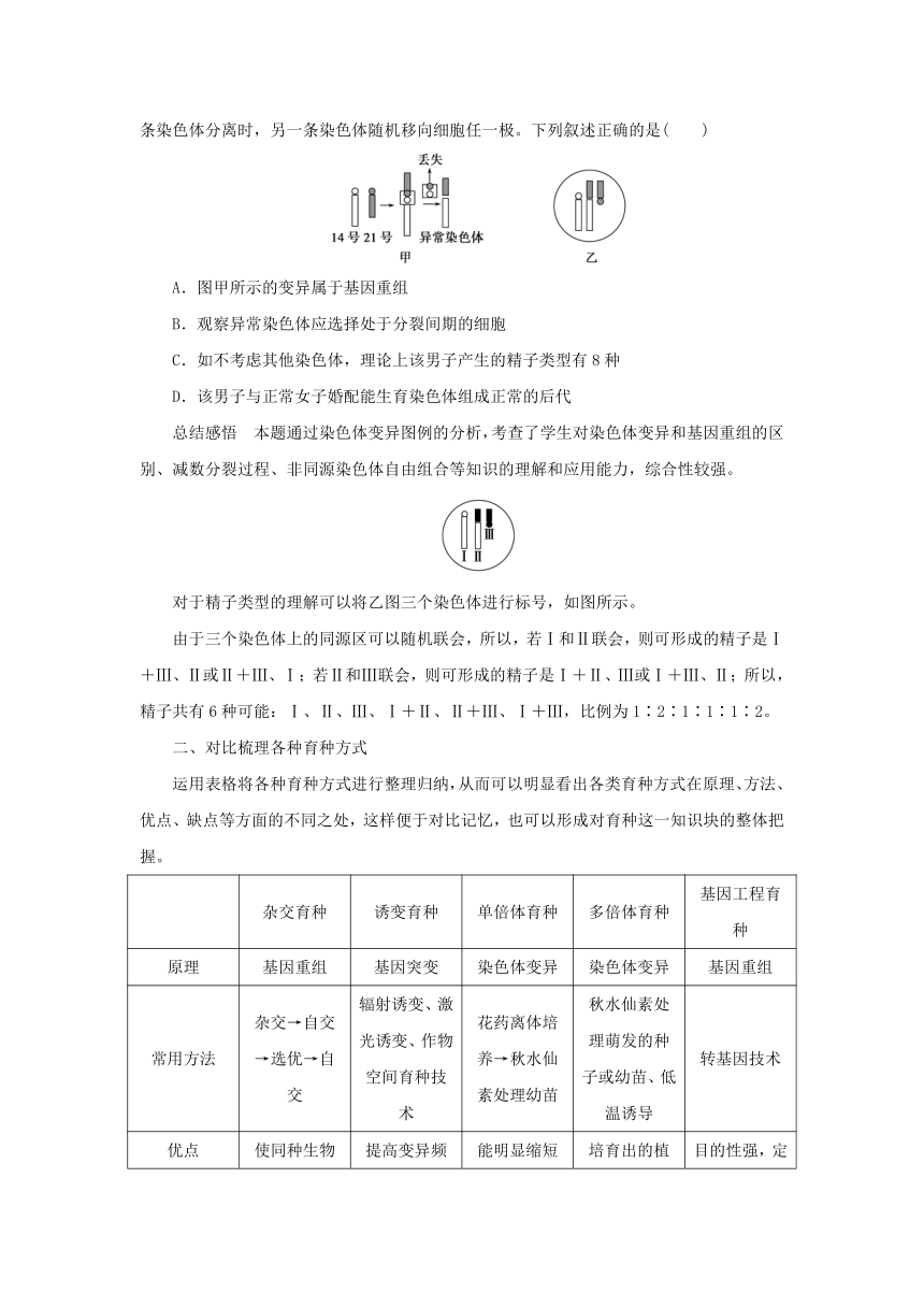 江苏省2017年高中生物暑期作业第10讲透过现象看本质__育种问题全突破