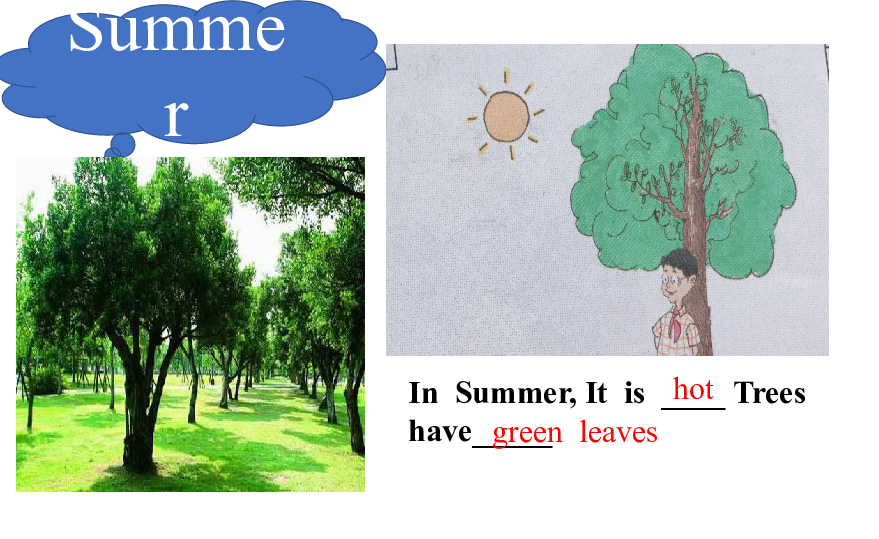 Lesson 13 Summer Is Coming! 课件（17张PPT，无素材）