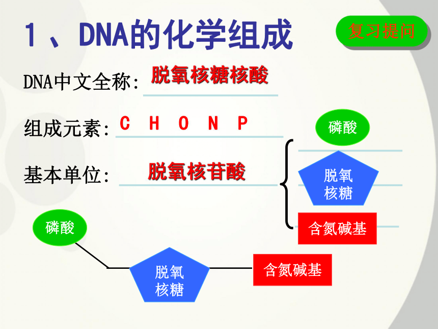 2020-2021 学年高一下学期生物人教版必修二第3章第2节DNA分子的结构 课件（38张ppt）