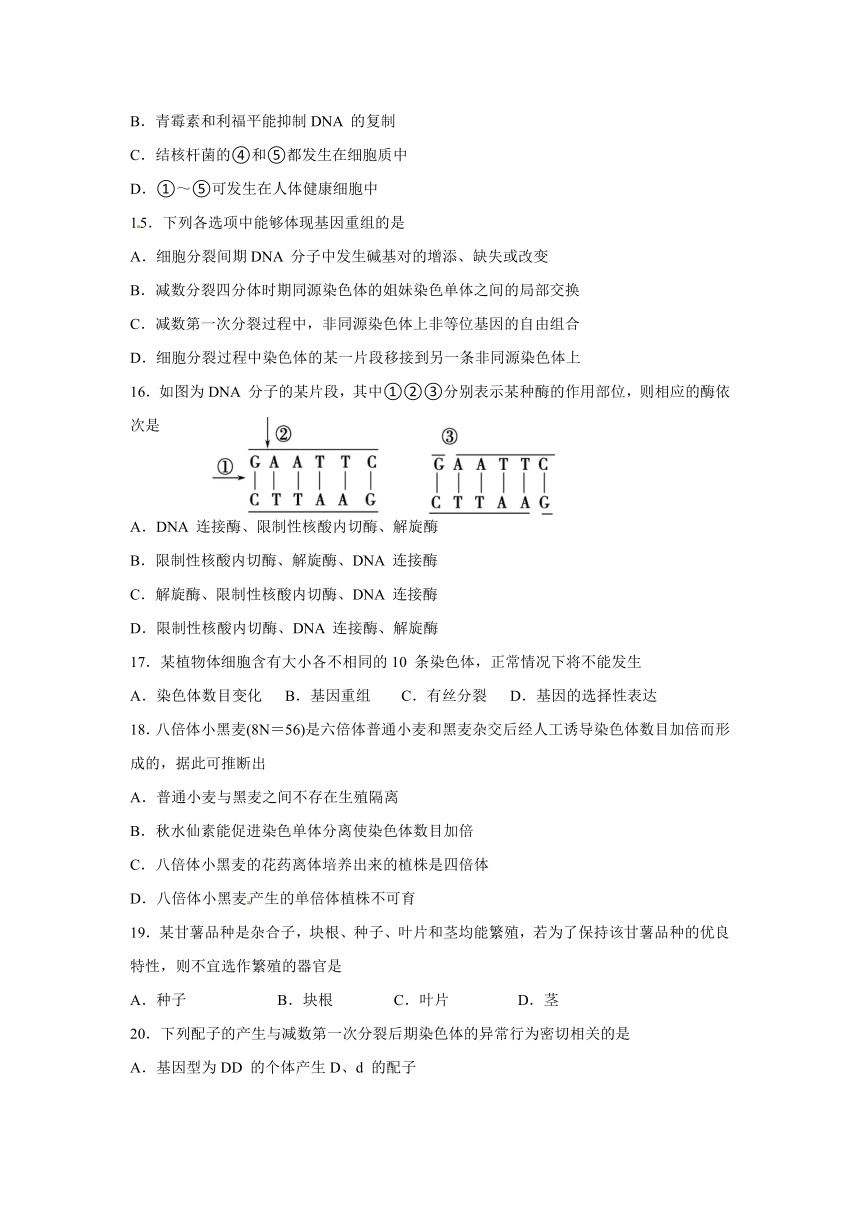 湖南省岳阳市2017届高三教学质量检测试卷（一）生物试题 Word版含答案