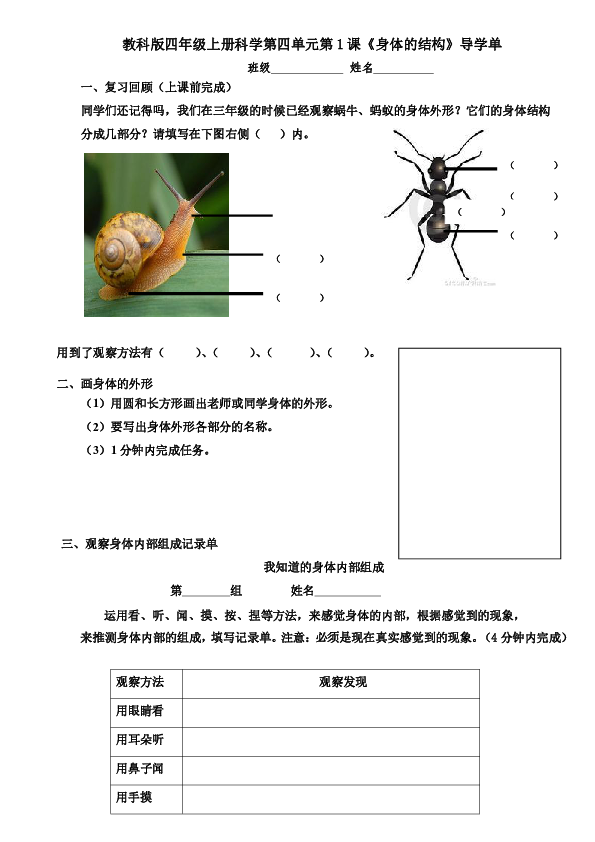 四年级上册科学试题-4.1 身体的结构 教科版 （无答案）