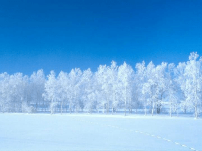 （人教新课标）一年级语文上册课件 雪地里的小画家9