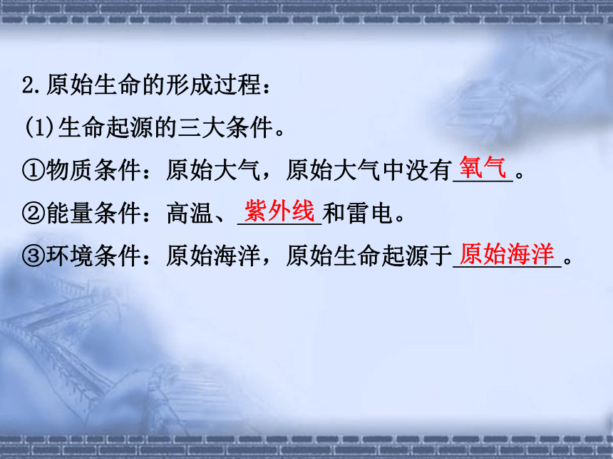 人教版八年级下册第七单元第三章生命起源和生物进化 复习课件（共14张PPT）