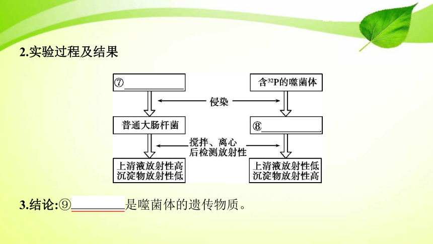 高考生物专题课件12：基因的本质（共52张PPT）